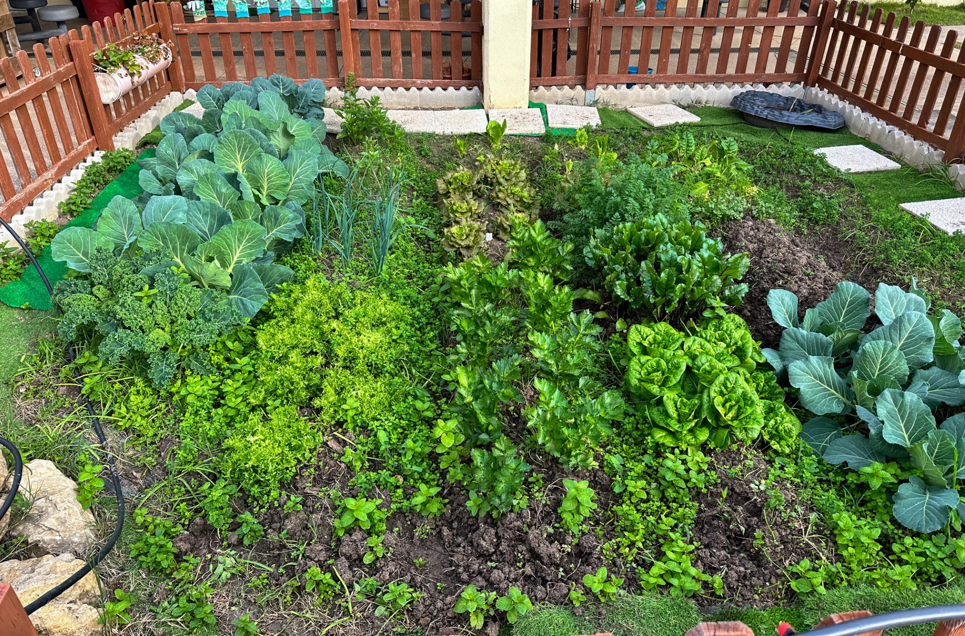 Garden